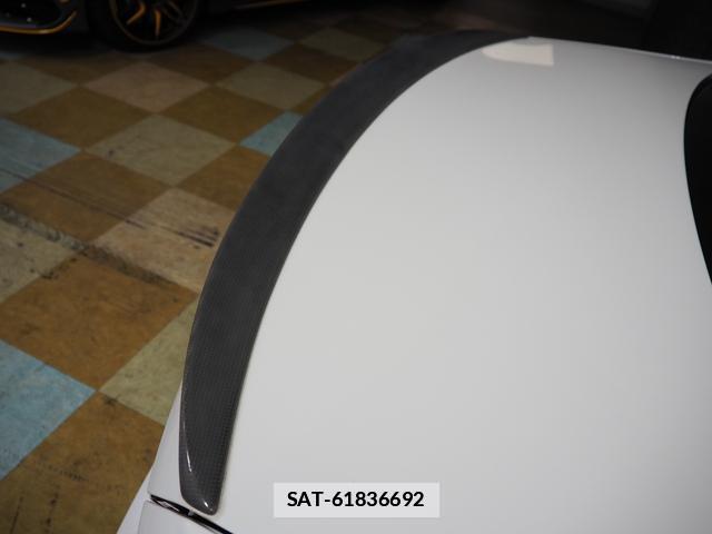 Bmw 3 SERIES 2008-11 7796016-13