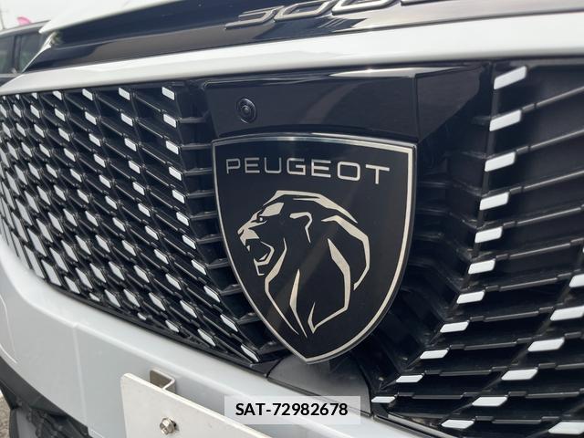 Peugeot 3008 2025-09 7794503-14