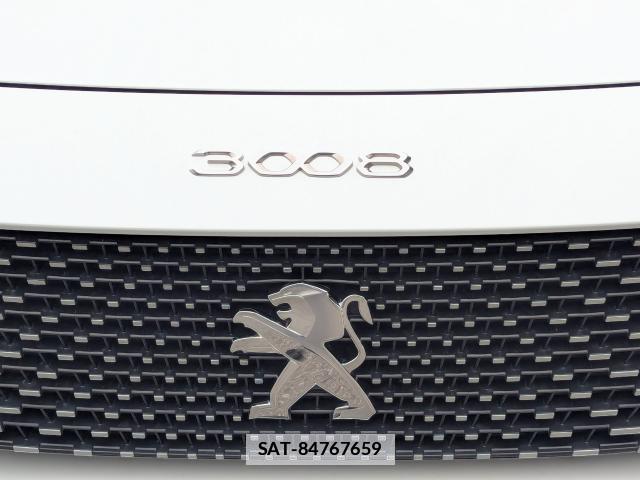 Peugeot 3008 2022-12 7795331-14