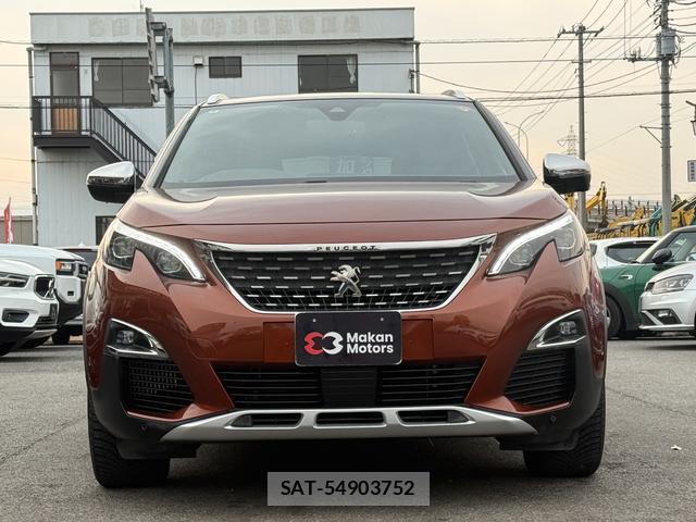 Peugeot 3008 2018-06 7808779-2
