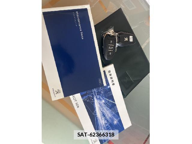 Peugeot 308 2018-06 7797883-18