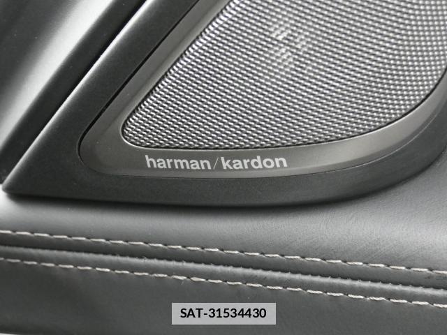 Bmw 7 SERIES 2019-10 7794555-14