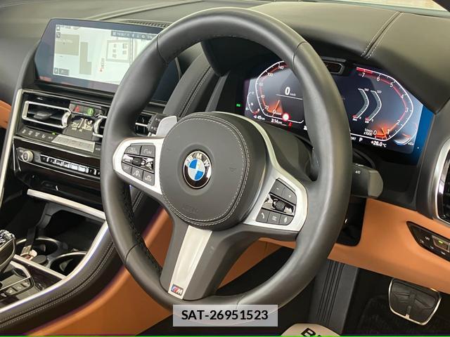 Bmw 8 SERIES 2021-04 7810169-14