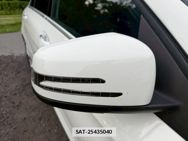 Mercedes Benz A-CLASS 2016-01 7805954-17