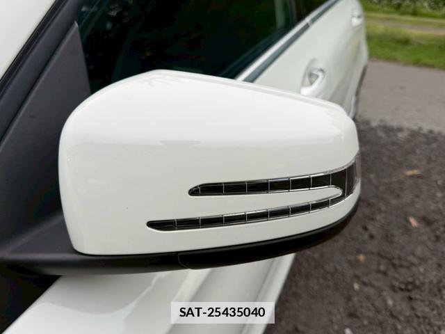 Mercedes Benz A-CLASS 2016-01 7805954-9