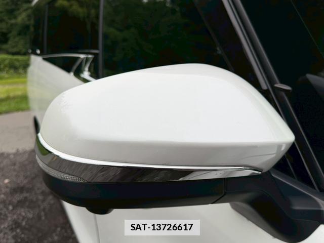 Toyota ALPHARD HYBRID 2024-06 7805989-17