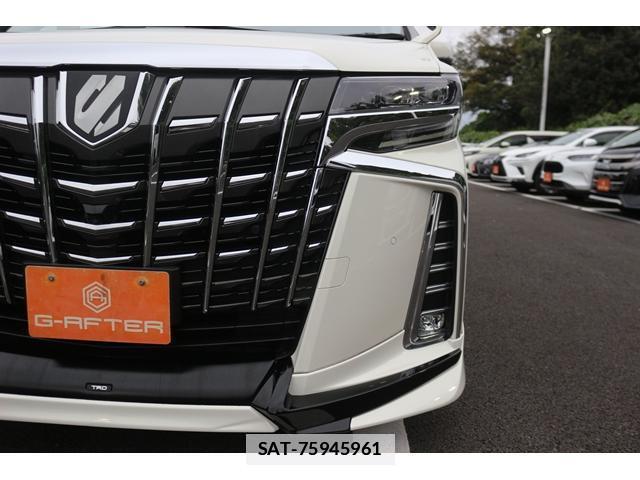 Toyota ALPHARD 2019-06 7809454-15