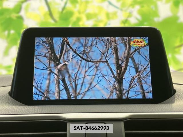 Mazda AXELA SPORT 2019-03 7797693-12