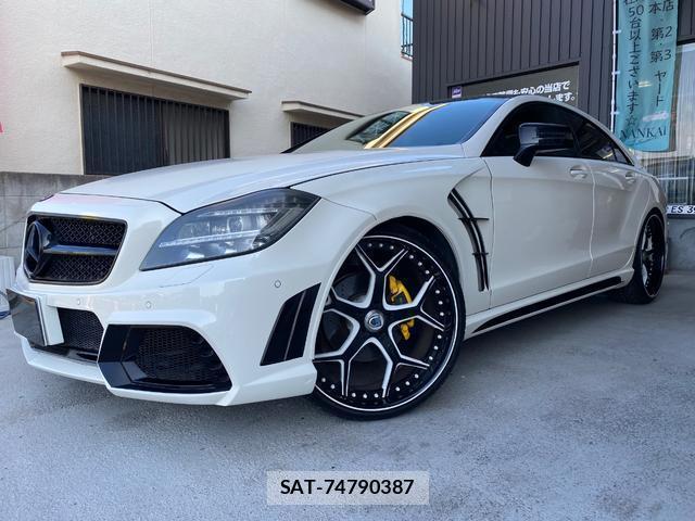 Mercedes Benz CLS-CLASS 2011-07 7800772-10