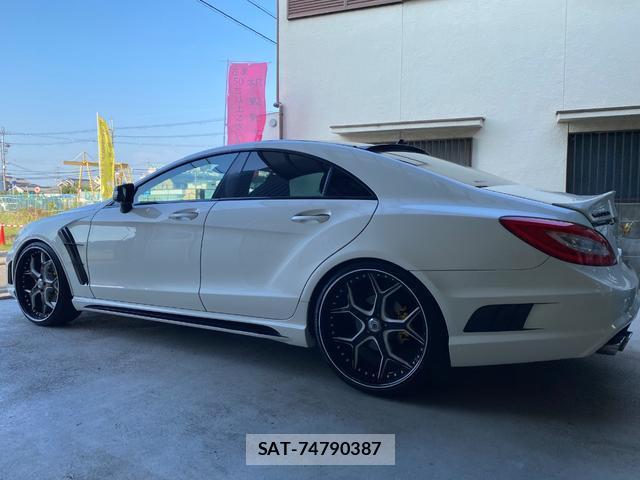 Mercedes Benz CLS-CLASS 2011-07 7800772-11