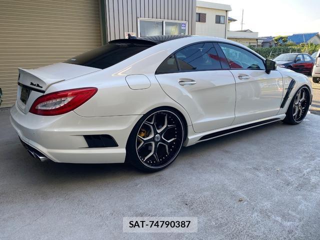 Mercedes Benz CLS-CLASS 2011-07 7800772-19