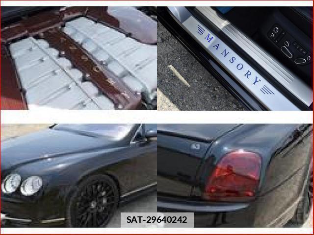 Bentley CONTINENTAL 2006-12 7796495-8