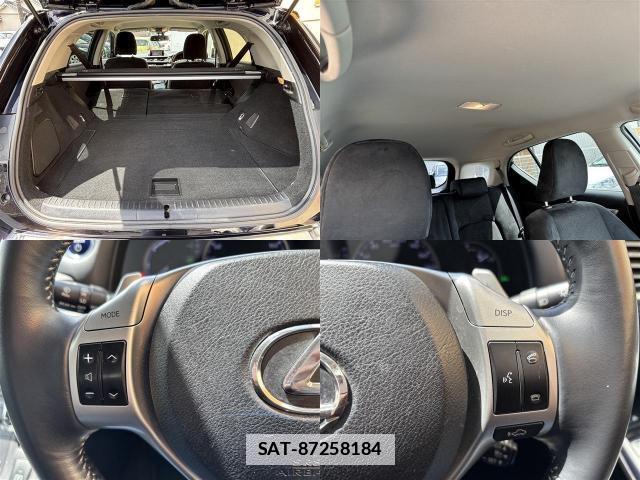 Lexus CT 2013-03 7793554-13