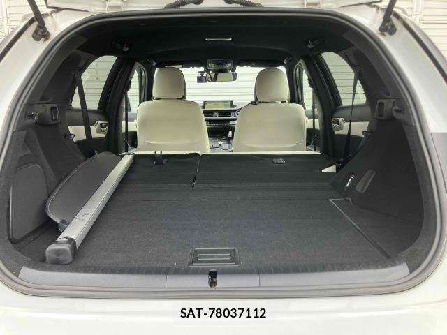 Lexus CT 2021-03 7798672-7