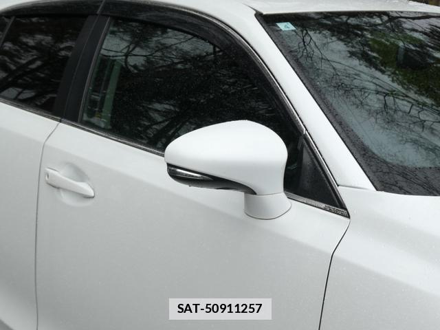 Lexus CT 2013-04 7800117-5