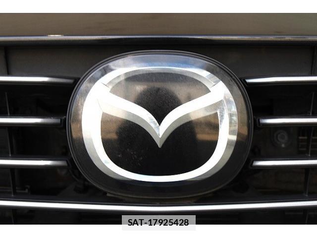 Mazda CX-3 2015-04 7810114-7