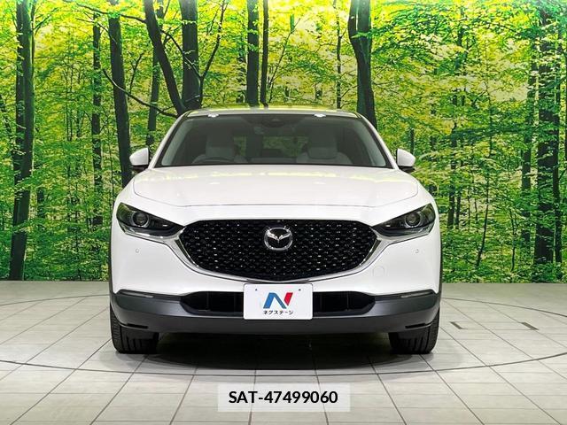 Mazda CX-30 2019-12 7793135-13