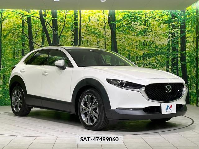 Mazda CX-30 2019-12 7793135-15