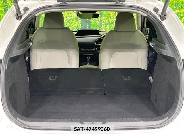 Mazda CX-30 2019-12 7793135-9