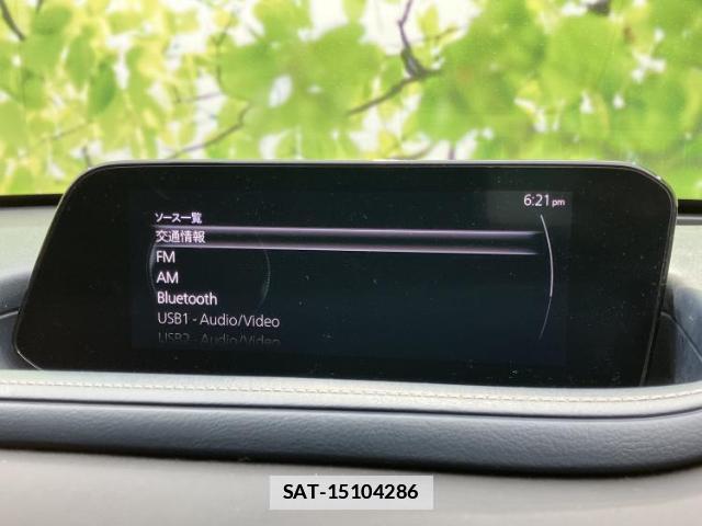 Mazda CX-30 2020-02 7795269-10
