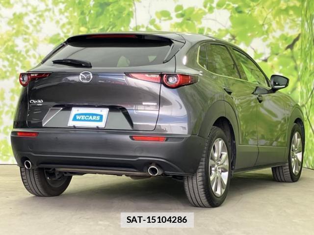 Mazda CX-30 2020-02 7795269-2