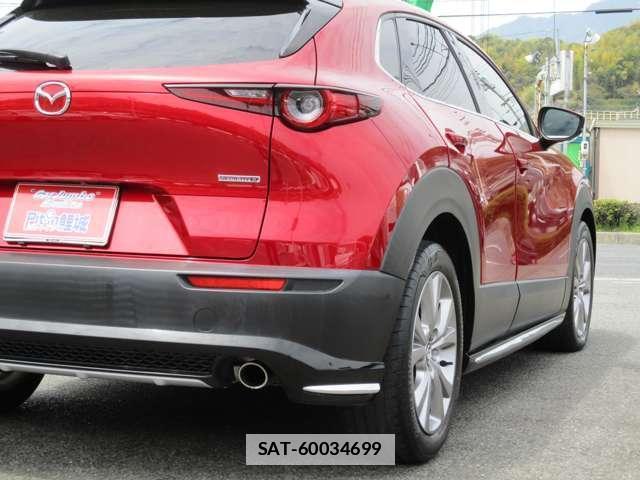 Mazda CX-30 2020-02 7795809-5