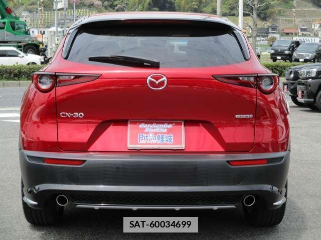 Mazda CX-30 2020-02 7795809-7