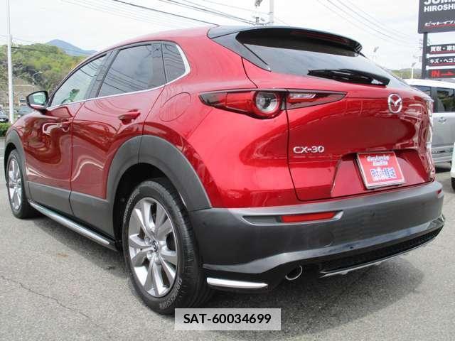 Mazda CX-30 2020-02 7795809-8