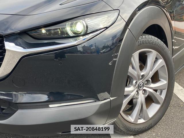 Mazda CX-30 2021-02 7798232-11