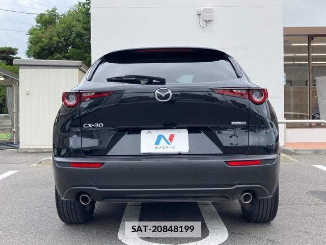Mazda CX-30 2021-02 7798232-14