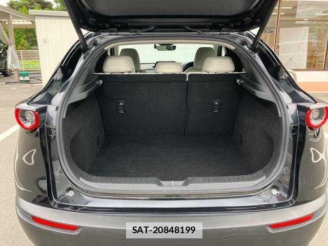 Mazda CX-30 2021-02 7798232-9