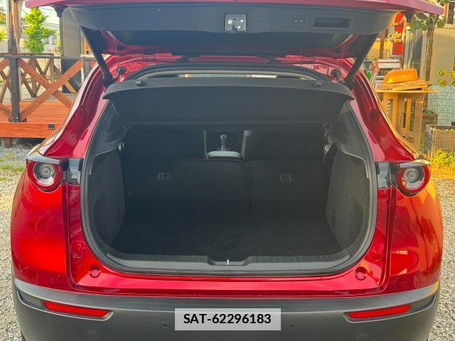 Mazda CX-30 2020-01 7798356-17