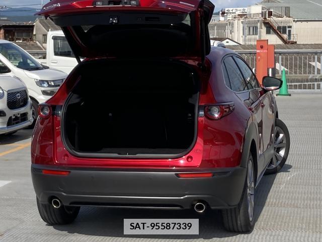 Mazda CX-30 2019-10 7804766-19