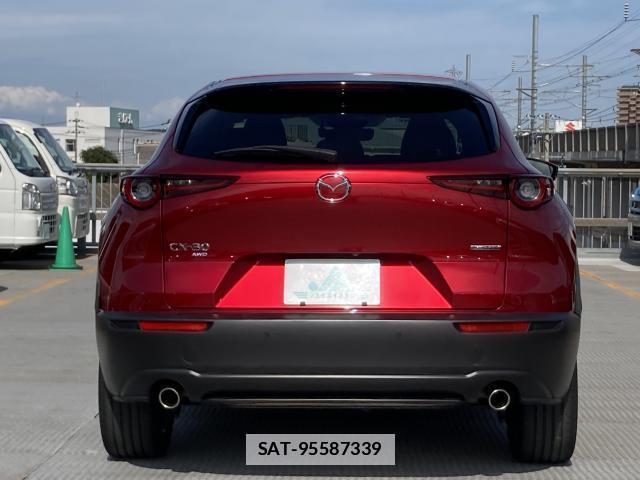 Mazda CX-30 2019-10 7804766-6