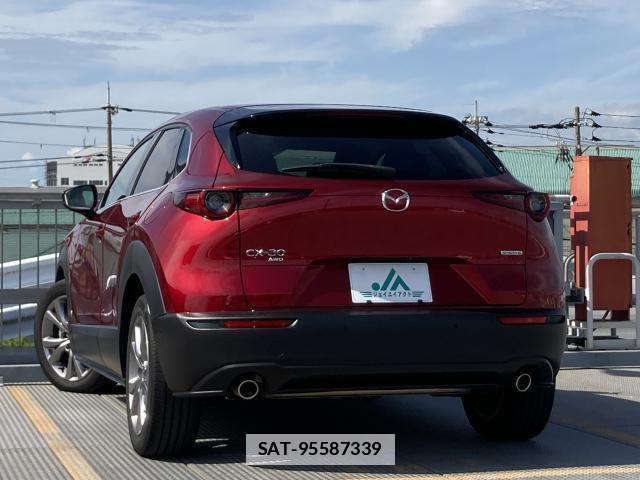 Mazda CX-30 2019-10 7804766-7