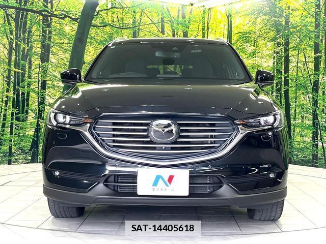 Mazda CX-8 2018-01 7793095-15