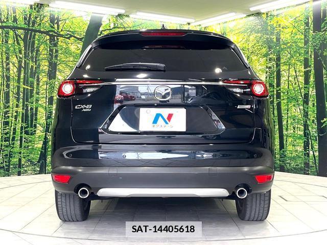 Mazda CX-8 2018-01 7793095-16