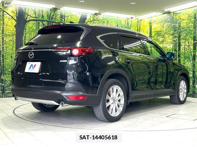 Mazda CX-8 2018-01 7793095-18