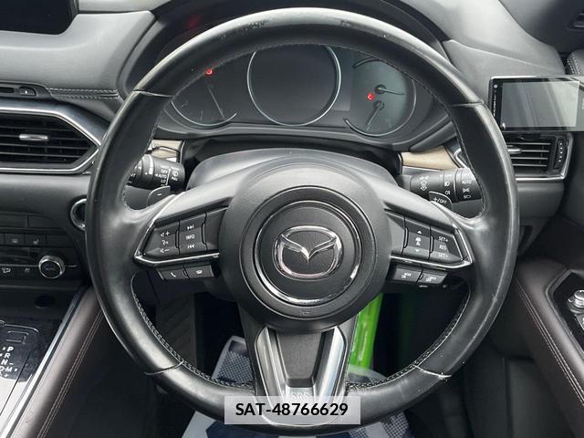Mazda CX-8 2019-09 7798464-10