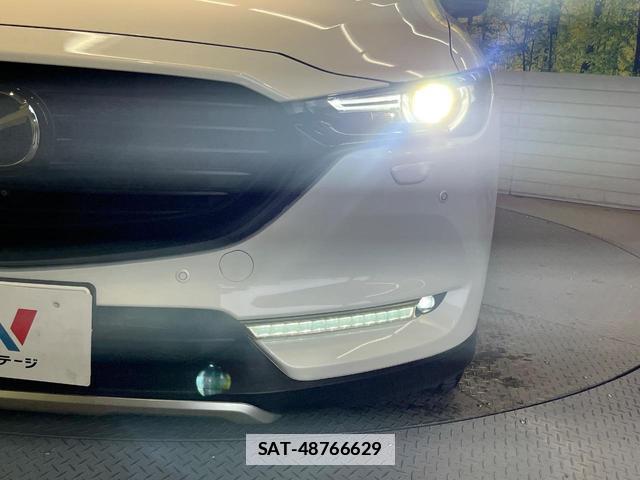 Mazda CX-8 2019-09 7798464-11