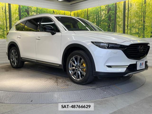 Mazda CX-8 2019-09 7798464-15