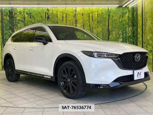 Mazda CX-8 2023-07 7799408-15