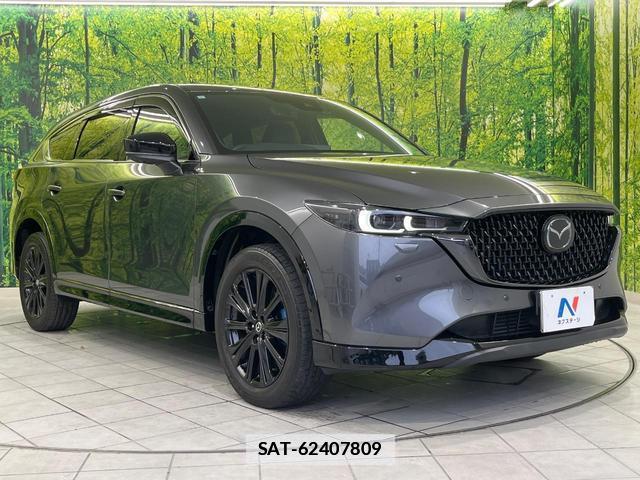 Mazda CX-8 2023-07 7799419-16