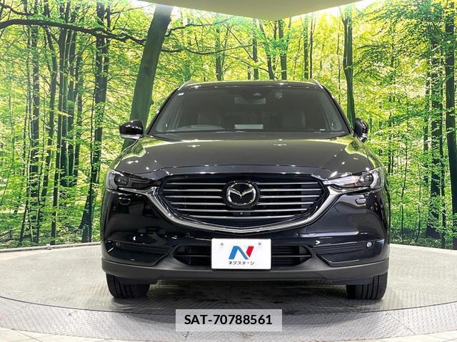Mazda CX-8 2018-06 7804475-14