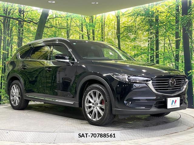 Mazda CX-8 2018-06 7804475-16