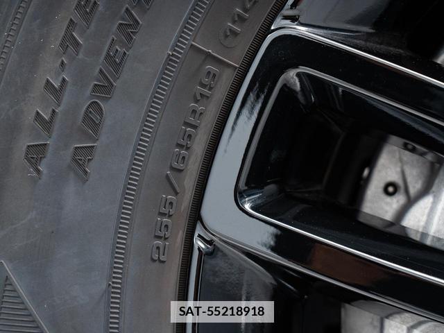 Land Rover DEFENDER 2025-06 7795501-16