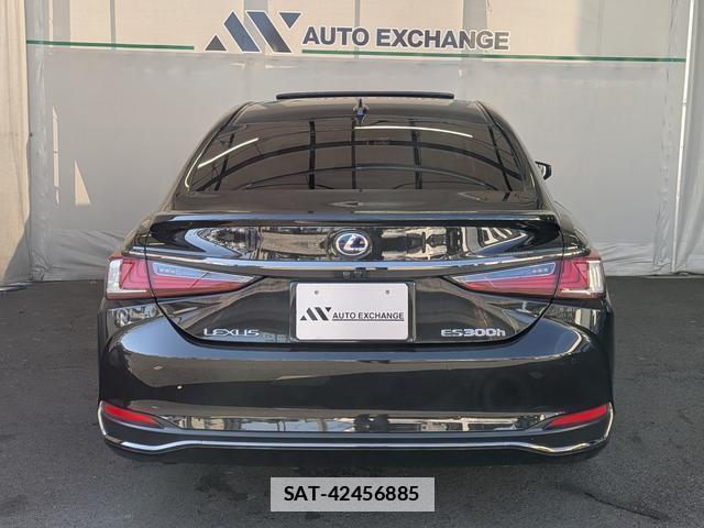 Lexus ES 2021-10 7795300-19