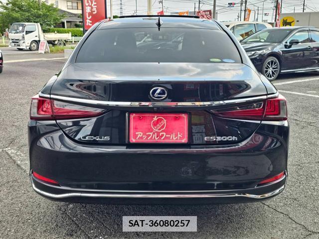 Lexus ES 2019-02 7800792-10