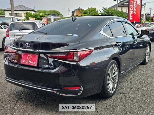 Lexus ES 2019-02 7800792-11