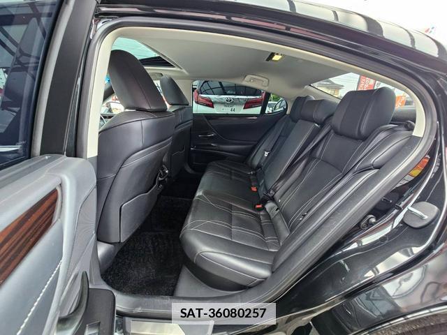 Lexus ES 2019-02 7800792-16